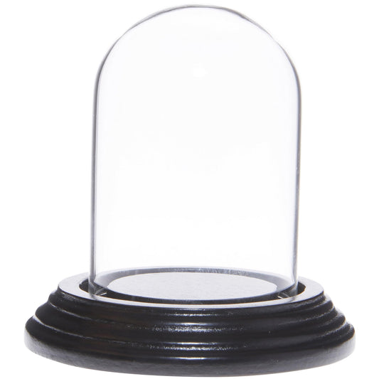 Plymor 2" x 3" Mini Glass Display Dome Cloche (Black Wood Veneer Base)