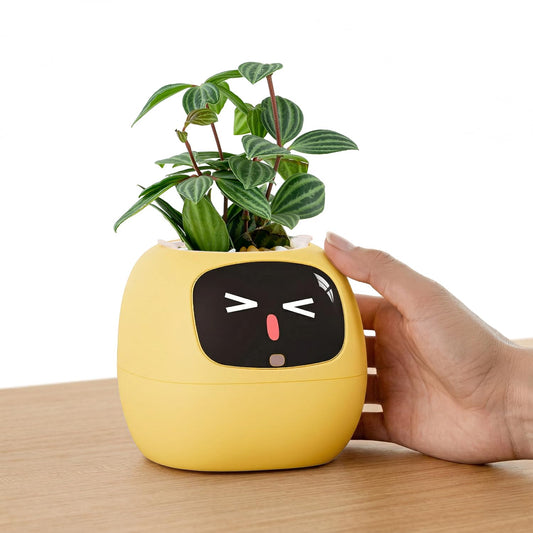 PLANTSIO Ivy Interactive AI Desk Companion, Smart Plant Pet with 100+ Expressions, Cute Indoor Planter for Office Decor, Unique Gift for Plant Lovers & Coworkers(Lemon)
