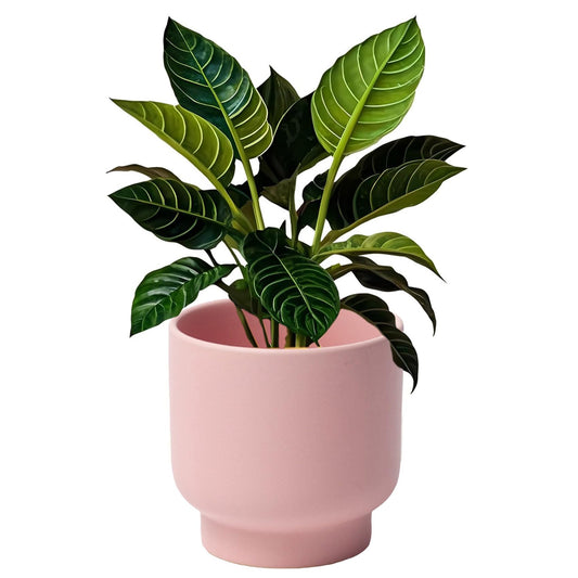 LB Pink Ceramic Plant Pots for Indoor Plants, Succulent Planters Ceramic Plant Pot, Cute Flower Pots for Living Room Office Home Decor, Round Flower Pot of 4.3 Inch(Plant Not Included)