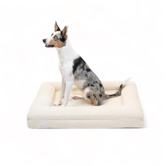 Bluewater Dog Luxury Boucle Orthopedic Memory Foam Dog Bed with Waterproof Liner and Machine Washable Cover with YKK Zippers (Medium 37" L x 30" W x 6" Th, Cloud)