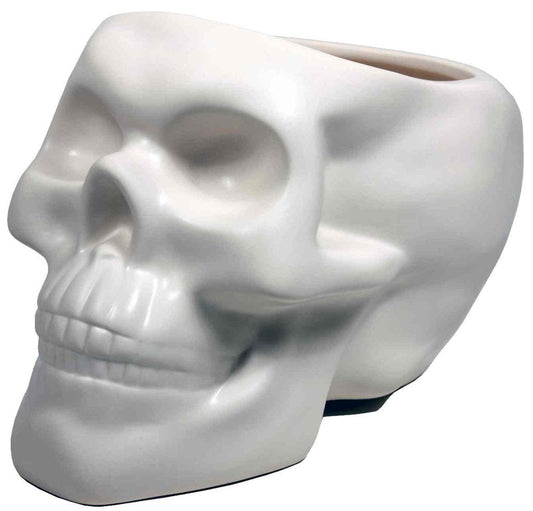 Streamline Imagined Skull Bone Planter