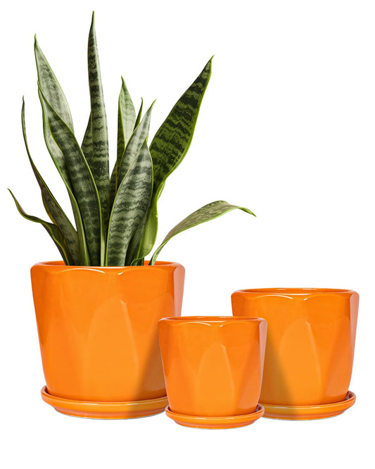 Ton Sin Ceramic Plant Pots Indoor Planters White Orange Set of 3 4