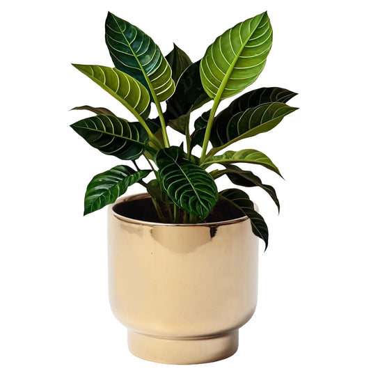 LB Gold Ceramic Planters for Indoor Plants, Succulent Plant Pots Ceramic Flower Pots, Modern Plant Pot for Living Room Office Home Decor, Round Flower Pot of 4.3 Inch(Plant Not Included)