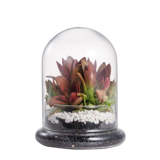 NCYP Small Clear Decorative Glass Terrarium Cloche with Air Hole - 4.7 x 4.7 x 6.3 Inches Glass Dome with Base for Miniature Plants - Display Storage (No Plants Included)