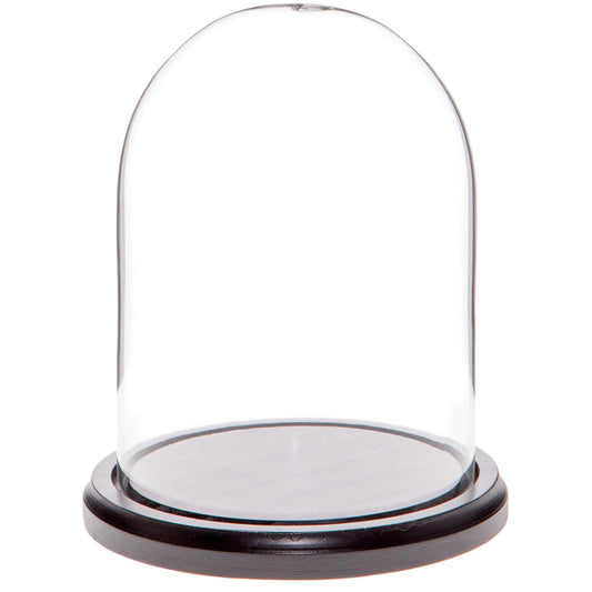 Plymor 4.5" x 6" Glass Display Dome Cloche (Black MDF Wood Base)