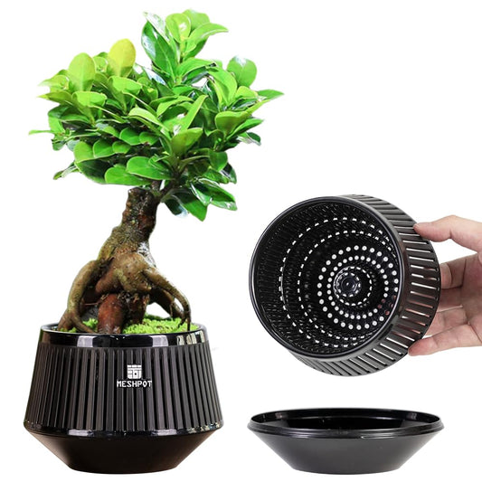 Meshpot 5 Inch Bonsai Pots with Drainage Tray, Set of 2, Plastic Imitate Ceramic Bonsai Tree Pot with Excellent Airflow, Black Succulent Pots for Indoor Plants, Juniper, Ficus, Chinese Elm, Cactus