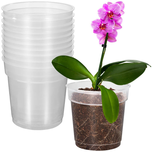 Totority Clear Orchid Nursery Pots 10-Pack 3.5-Inch Transparent Root-View Plastic Cups with Drainage Holes for Healthy Seedlings, Reusable Indoor & Outdoor Planter for Orchid Growers