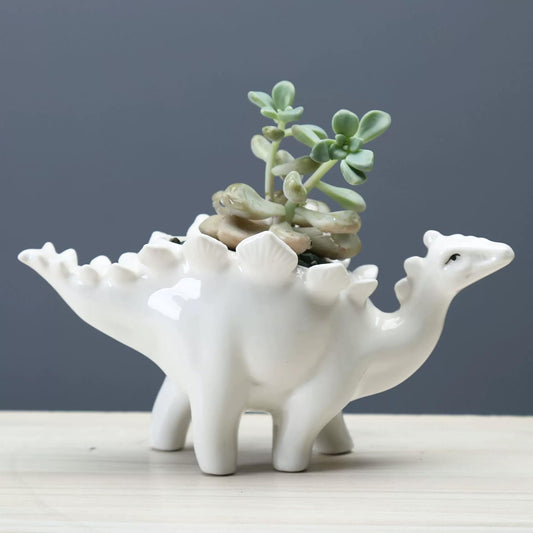 Funducts Cute Ceramic Succulent Stegosaurus Garden Pots w/Pottery Quality Finish, Cute Planting Pot, Indoor Plant Pot for Flowers & Herbs，Home Desktop Office Windowsill Decoration Gift.