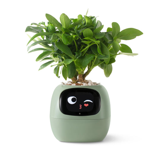 PLANTSIO Smart pet Planter Robot Guidance on Plant Care with Emojis, Adorable Plant Companion with Rich Gesture Interaction, Neat Desk Setup Gift (Green)