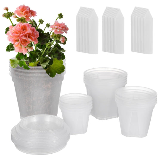 OMISTAR 8 Pcs Clear Plant Pots with Drainage - Clear Nursery Pots with Drainage Holes, Ideal for Lily Plants, Height 3-6 Inches Lightweight and Stackable Design for Efficient Growth