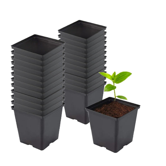 TopoGrow 1/2 Gallon Square Nursery Pots 24PCS Black Thick Durable Plastic Flower Pots with Drainage Holes, Reusable Seedling propogation Starter Pots for Indoor Plants, Transplanting, Succulents