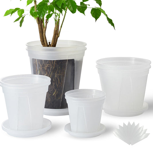 TineDew 8 pcs 5/6/7/8 inch Large Clear Nursery pots for Plants with Saucers,Thick Plastic Nursery pots for Plants with Drainage Holes for Monstera Plant Live,Ariod,etc