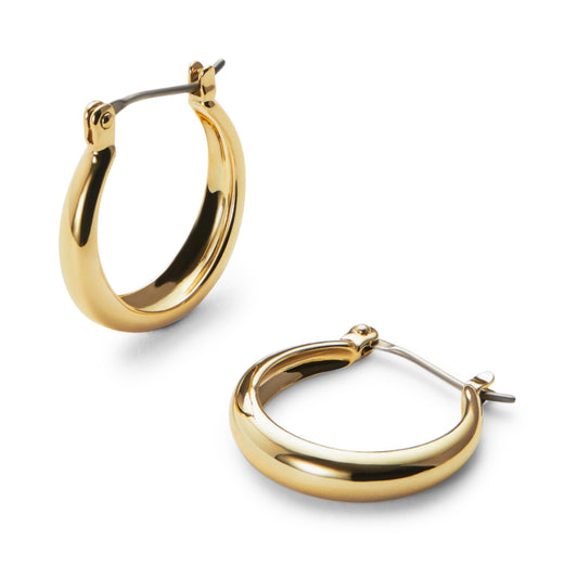 Ana Luisa Hoop Earrings for Women - Sterling Silver, 14K Gold Plated & Silver Rhodium Plated Assorted Earring Styles - Dainty, Small Gold Hoop Earrings for Daily Wear - Hypoallergenic & Tarnish-Free
