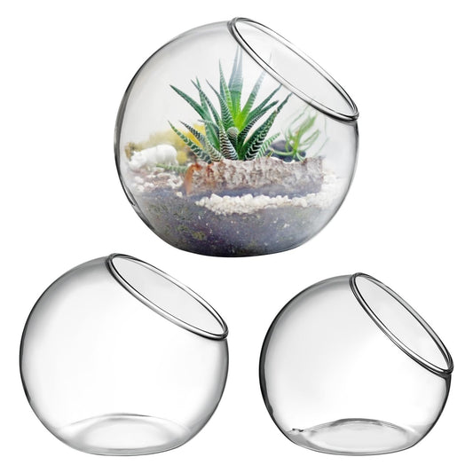 VANZACK 3pcs Round Glass Terrarium Vases Stylish Air Plant Containers for Home Office Decor Beveled Opening for Easy Plant Display for DIY Projects and Centerpieces