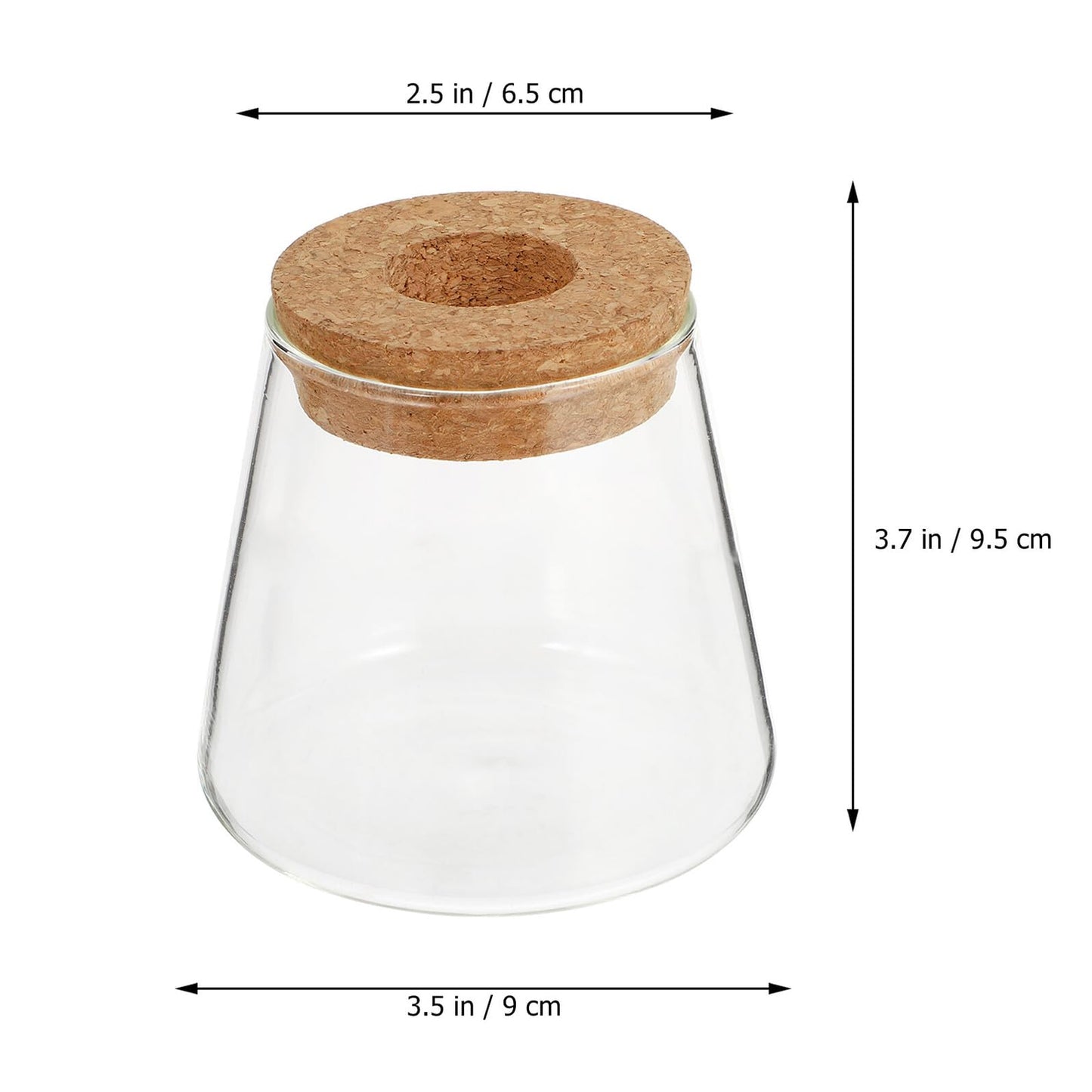 SOLUSTRE 2pcs Glass Hydroponic Plant Vases with 6.5cm Opening, Glass Terrarium for Water Propagation, Small Desktop Home and Office Garden Decoration