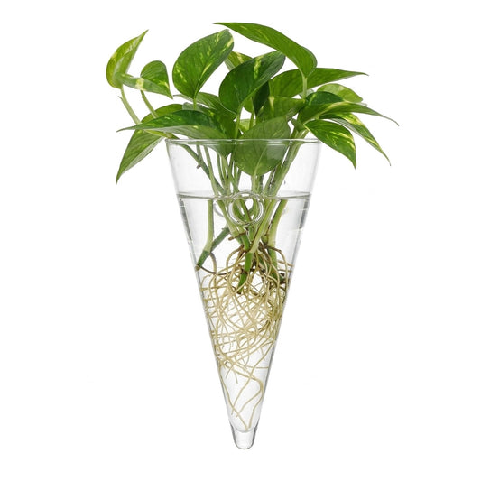 Cone Shaped Wall Vase: Clear Glass Hanging Planter - Reusable Wall Mounted Flower Vase for Succulent, Hydroponic Plant Propagation & Modern Home Decor
