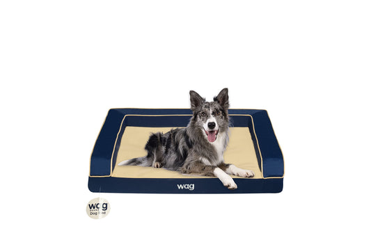 Wag Premium Pet Dog Bed | Multi Layer Construction with Cooling Energy Gel and Copper Infusion | Machine Washable Cover and Water Resistant Liner | Medium, Ocean Blue,Navy