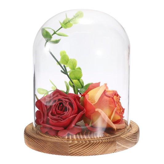 JUXYES Glass Display Dome Cloche with Solid Wood Base, Clear Dome Bell Terrarium Jar Glass Cloche Bell Jar Display for Plants, Collectibles and Figurines