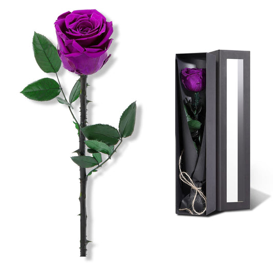 Purple Flowers for Delivery Prime, Preserved Purple Roses Flower Gifts for Women, Real Roses Single Rose Gifts for Her, Mom Birthday Gifts from Daughter, Valentines Flowers
