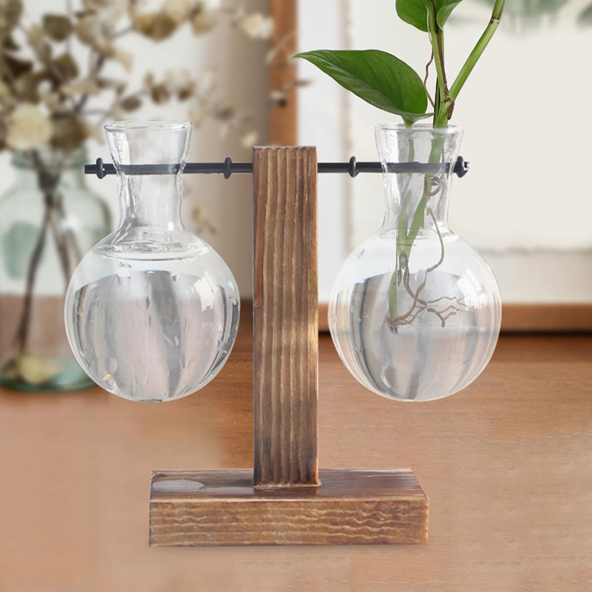 OSOLADY 3Pcs Hydroponic Glass Vase Set with Wooden Stand, High Borosilicate Glass Propagation Planter Jars for Desktop Terrarium and Plant Display