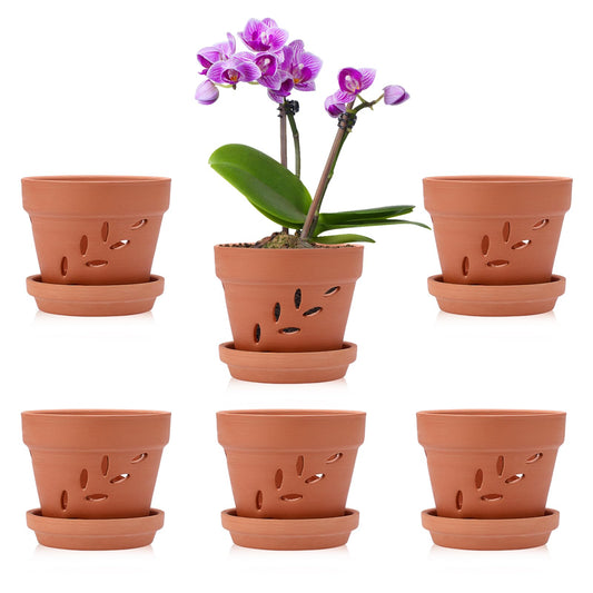 JUXYES 6 Pack Small Terracotta Orchid Pots with Holes and Saucers, Clay Orchid Planter Pots for Repotting, Plant Flower Pots for Orchid Indoor and Outdoor Promotes Air Circulation, 4 Inches