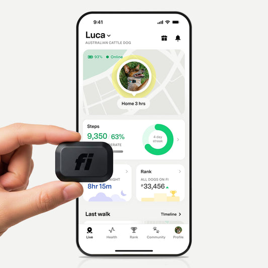 Fi Mini GPS Tracker for Dogs — 12-Month Membership Included — Smart Pet Tracking Collar Attachment — Lightweight, Virtual Fences, Escape Alerts, Step & Health, Waterproof