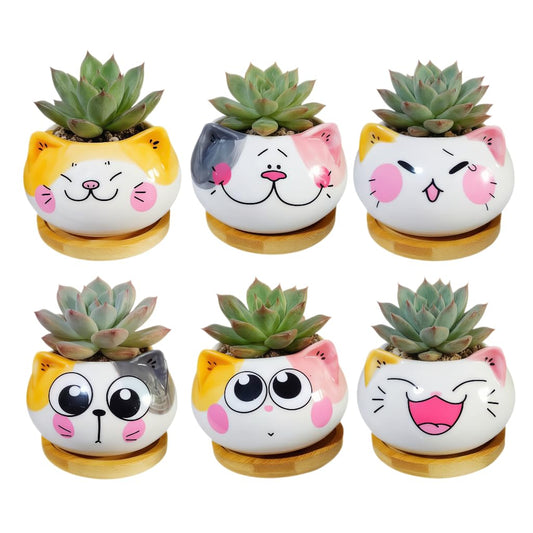 Cuteforyou Cute 3.5 Inches Indoor Cartoon Animal Cat Shaped Ceramic Succulent Cactus Flower Plant Pots with Bamboo Tray-Plant Not Included (6 Corlors)