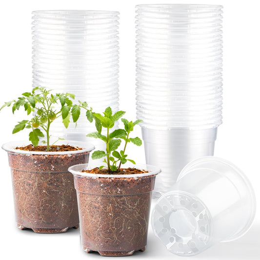 RooTrimmer 60 Pack 6 Inch Clear Nursery Pots for Plants, Flexible Plastic Plant Pots with Drainage Holes, Transparent Plant Starter Pots for Seedlings, Vegetable, Succulents, Flowers