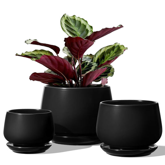 LE TAUCI Plant Pots, 4.1+5.1+6.5 inch, Set of 3, Ceramic Planters with Drainage Hole and Saucer, Indoor Flower Pot with Hole Mesh Pad, Gifts for Mom, Black