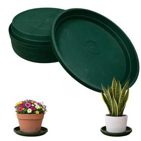 smart spring 10 Inch Plant Pot Tray USA Made – Durable Plastic Flower Pot Saucer – Plant Water Catcher for Indoor Outdoor Garden (6, Deep Forest)