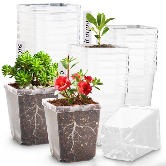 RooTrimmer 3.3 Inch Clear Nursery Pots with Drainage,90 Pack Square Seedling Pots with Plant Lables,Reusable Seed Starter Pots for Succulents Transplanting Herbs Flowers Tomato Windowsill Gardening