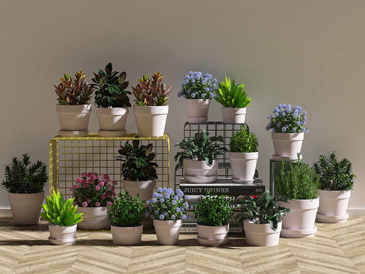 Fcacti 6 Pack 4.5 Inch Pink Terra Cotta Pots with Saucer, Clay Planters with Drainage Hole, Indoor/Outdoor Cactus Clay Flower Pots