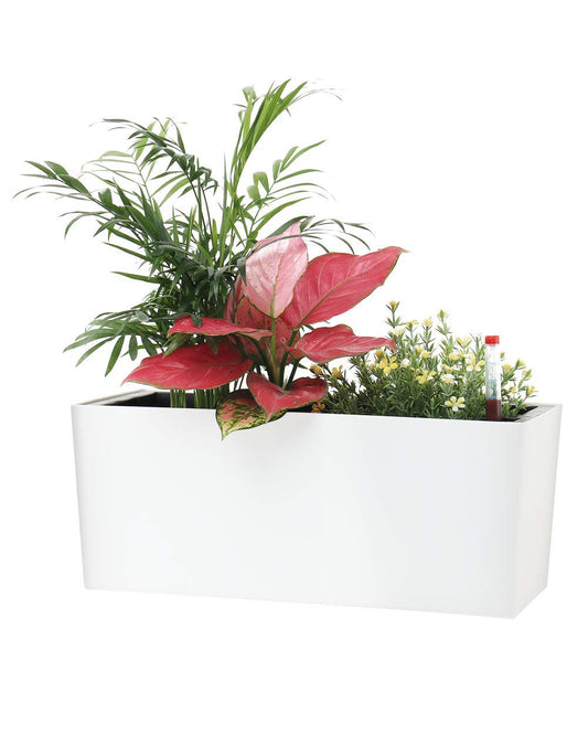 SAROSORA 14" Self Watering Planter Pots with Water Level Indicator, Rectangle Matte Plastic Window Box for Indoor Outdoor, Herbs Succulents Flowers House Plants (White)