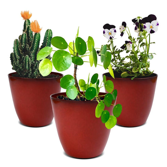 RICH ATLAS 3Pack Plant Pots Durable Decorative Flower Pots,6 Inch Planter Set for Indoor and Outdoor Plants,Flowers,Succulents (Red)
