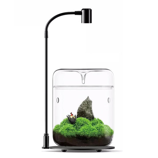 SARUFO Glass Plant Terrarium 4.7"X7" Inches Succulent Air Planter Fern Moss Micro-Landscape Vase for Home Office Tabletop Decoration Container with Lid Indoor Wardian Copyright Patent（with Light）