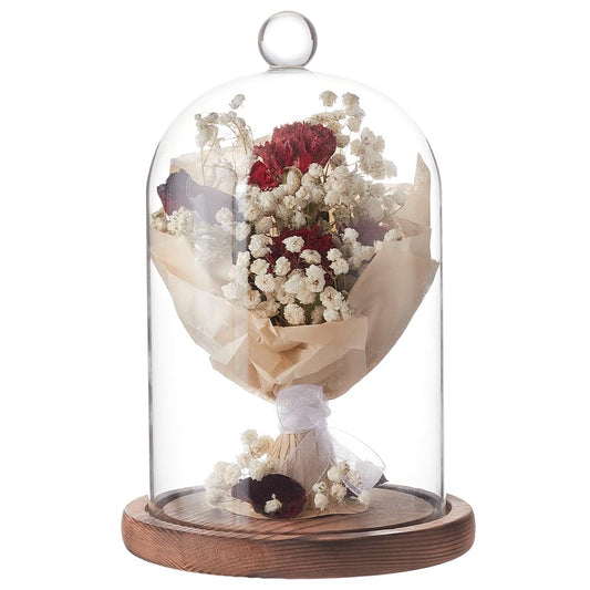 BENECREAT 7x4.5 Inch Glass Dome Cloche with Wooden Base, Rustic Bell Jar Display Clear Glass Bell Cloche for Plants, Fairy Lights or Table Decor