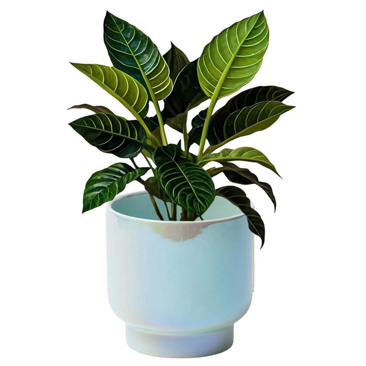 LB Blue Ceramic Planters for Indoor Plants, Succulent Plant Pots Ceramic Plant Pot, Modern Flower Pots for Living Room Office Home Decor, Round Flower Pot of 4.3 Inch(Plant Not Included)