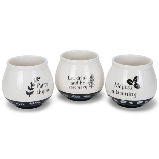 Napco Assorted Witty Herb Cache 3.5 Inch White and Black Ceramic Planters (Set of 3)