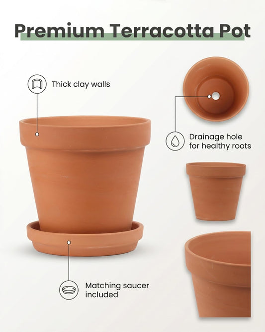 Riseuvo 5 Inch Terra Cotta Pots with Saucer - 6 Pack Clay Flower Pots with Drainage, Great for Plants, Crafts, Wedding Favor (5 inch)
