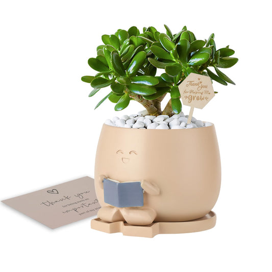 Onzbala Bookworm Planter Pot with Drainage Cute Plant Pots for Succulents & Small Plants | Teacher Gifts Housewarming|Book Lover Gift, Indoor Planters | Christmas Teacher Gift Mother Dad Appreciation