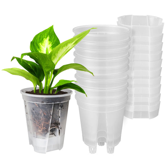 GREENPARA 5-Inch Self-Watering Plant Pots - 10-Pack Clear Plastic Planter with Deep Reservoir, Drainage Holes for Indoor Outdoor Gardens, Herbs, Succulents, and Flowers