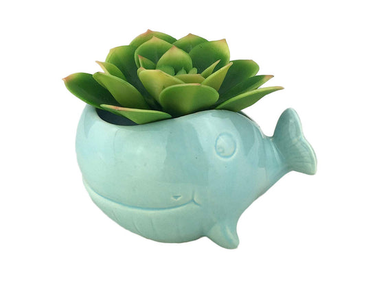VanEnjoy 5" Ocean Blue Whale Ceramic Succulent Pot, Medium (3.86 x 4.64 x 2.87 inches), Indoor Use