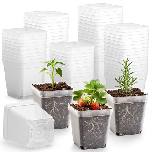 RooTrimmer 120 Packs Square Clear Nursery Pots with Drainage, 2.7 Inch Plastic Seedling Pots for Indoor Plants, Thickened Small Transplant Pot for Seed Starting Succulents Vegetables Lettuce Flowers