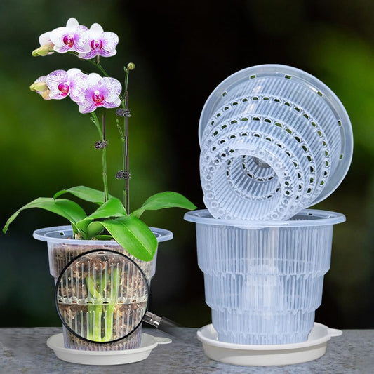 Meshpot 4 inch Clear Orchid Pots with Holes and Saucers for Repotting,Pack of 4,Small Plastic Orchid Planters Provide Good Air Circulation,Nursery Pots for Succulents,Herbs,Aloes,Mint