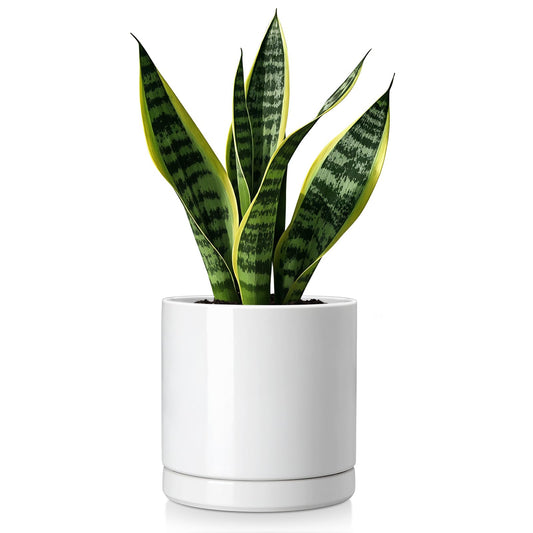 vancasso Ceramic Plant Pots, 6.25 Inch Ceramic Pot for Plants, Planters Pots for Indoor Plants with Drainage Holes, Flower Pot for Indoor House Plant, White