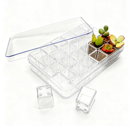 QCSMBFL 24pcs Super Tiny Mini Clear Plastic Planter, 1.1" Small Succulent Nursery Pots with Drainage Hole & Storage Box with Lid (Lid for Storage Only)，Micro Plants Pots for Root Viewing, Home Decor