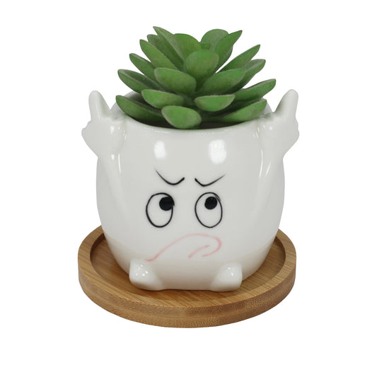 Gemseek Funny Face Succulent Planter Pot with Drainage Tray, Small White Ceramic Cactus Flower Container, Cute Decorative Indoor Air Plants Holder