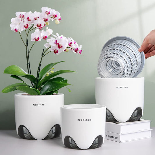 Meshpot 6 inch Orchid Pots with Holes for Repotting with Excellent Airflow, Set of 1, Double Layer Plastic Imitate Ceramic Orchid Planter, Clear Orchid Pot Match Decorative Orchid Container