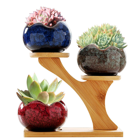 Jueison Succulent Pots with 3 Tier Bamboo Saucers Stand Holder Modern Decorative Ceramic Flower Pots with Drainage Mini Cactus Plant Pot Planters for Indoor Home Office Desk Garden Decor (#005)