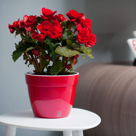 DECOPOTS - Self Watering Planter - Modern Flower Pot with Water Level Indicator for All House Plants, Flowers, Herbs (Diameter 10.6", Red - Pearl/White)